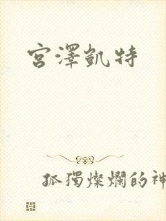 宫泽凯特封面