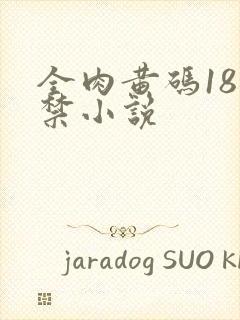 全肉黄码18无禁小说封面