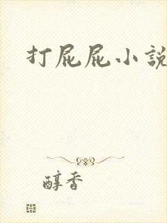 打屁屁小说