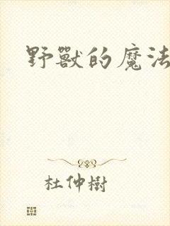 野兽的魔法师