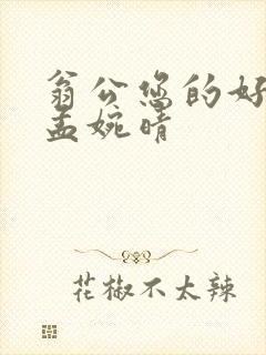 翁公您的好长呀孟婉晴封面