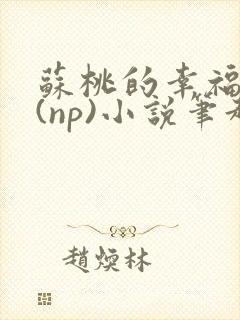 苏桃的幸福生活(np)小说笔趣阁沐沐