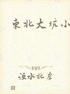 东北大坑小说