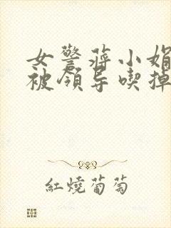 女警蒋小娟的奶被领导吃掉了封面