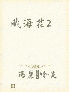 藏海花2封面