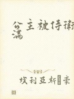 公主被侍卫填的满封面