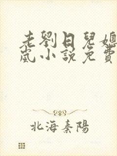 老刘日儿媳妇张岚小说免费阅读封面