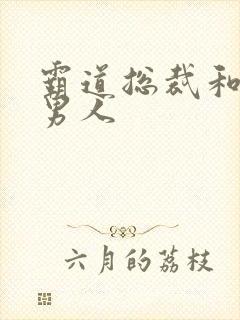 霸道总裁和他的男人封面