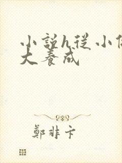 小说h从小做到大养成