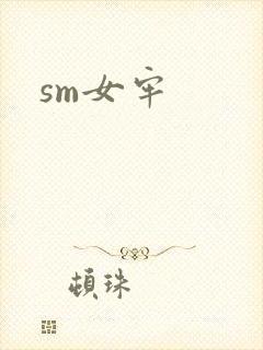 sm女牢封面