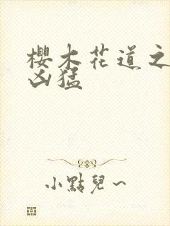 樱木花道之重生凶猛封面