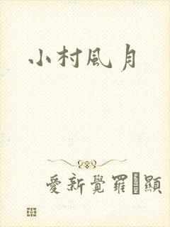 小村风月封面