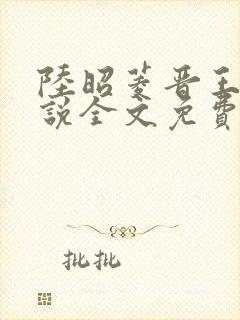 陆昭菱晋王的小说全文免费阅读封面