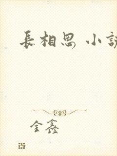 长相思 小说