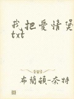 我把爱情煲成汤txt