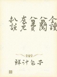 扒灰公公全部小说免费阅读全文封面