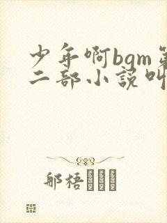 少年啊bgm第二部小说叫什么封面