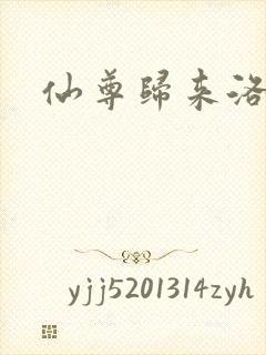仙尊归来洛尘封面