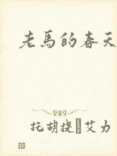 老马的春天敏静封面
