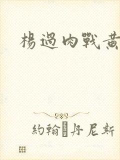 杨过肉战黄蓉