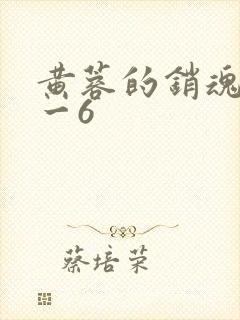 黄蓉的销魂夜1一6