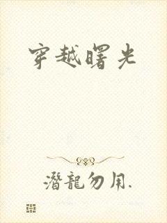 穿越曙光封面
