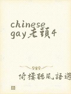 chinesegay老头4封面