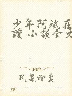 少年阿斌在线阅读 小说全文免费封面