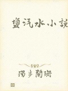 盐汽水小说
