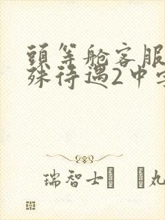 头等舱客服的特殊待遇2中字