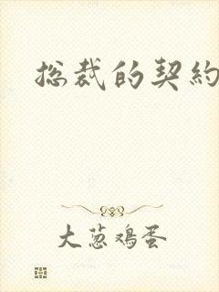 总裁的契约妻