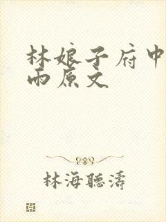 林娘子府中逢甘雨原文封面