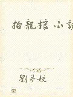 抬龙棺 小说