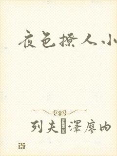 夜色撩人小说封面