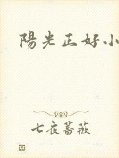 阳光正好小说