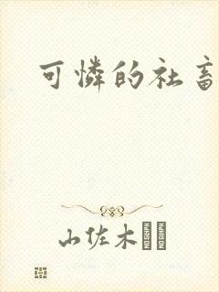 可怜的社畜分手