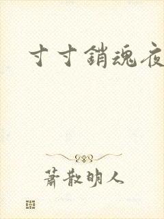 寸寸销魂夜春光