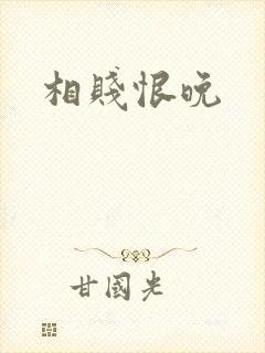 相贱恨晚封面