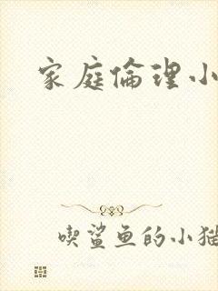 家庭伦理小说