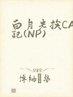 白月光挨CAO记(NP)