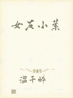 女友小叶