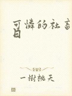 可怜的社畜东度日