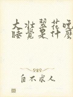 大壮翠花晚上不睡觉是什么电视剧