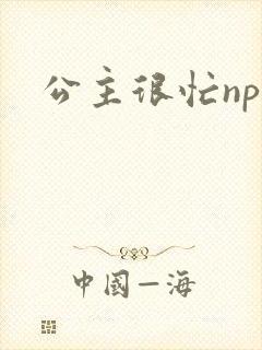 公主很忙npc封面