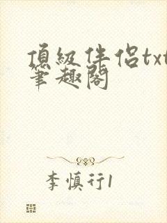 顶级伴侣txt笔趣阁