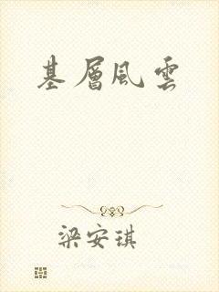 基层风云封面