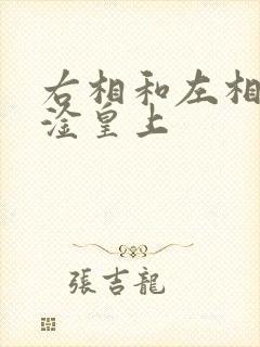 右相和左相一起淦皇上