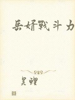 岳婿战斗力
