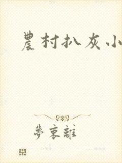 农村扒灰小说封面