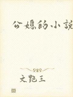 公媳的小说封面